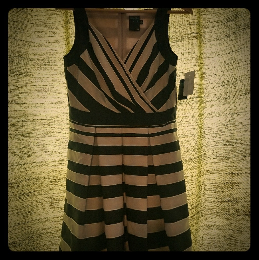 Brand New Gabby Skye Vintage style dress